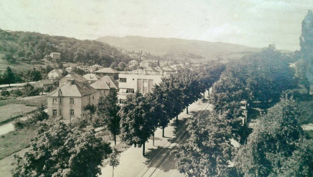 Mirogojska cesta 1950. godine